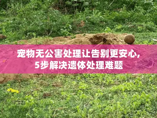 宠物无公害处理让告别更安心,5步解决遗体处理难题