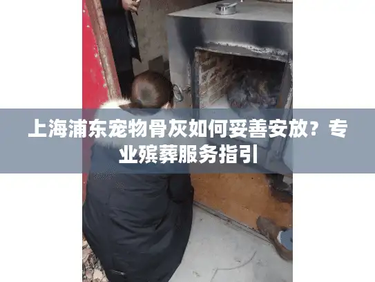 上海浦东宠物骨灰如何妥善安放？专业殡葬服务指引