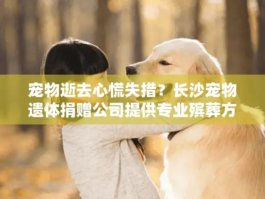宠物逝去心慌失措？长沙宠物遗体捐赠公司提供专业殡葬方案