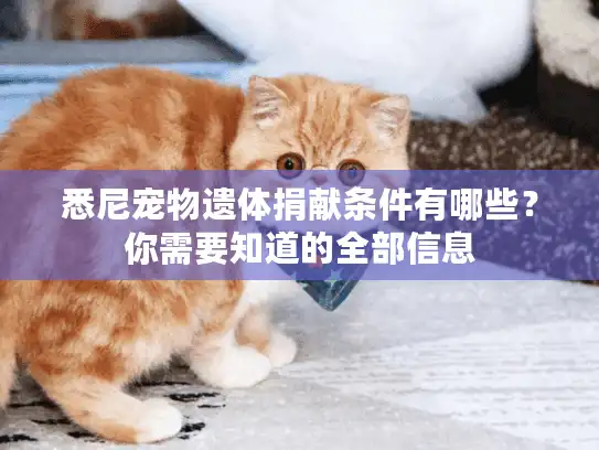 悉尼宠物遗体捐献条件有哪些？你需要知道的全部信息