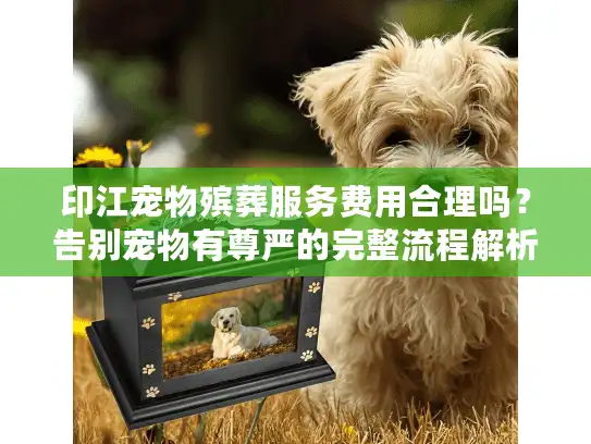 印江宠物殡葬服务费用合理吗？告别宠物有尊严的完整流程解析