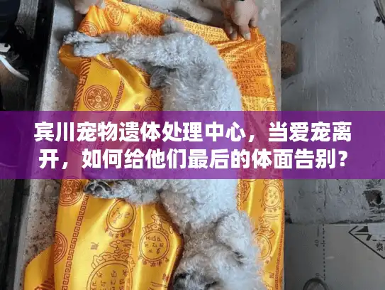 宾川宠物遗体处理中心，当爱宠离开，如何给他们最后的体面告别？