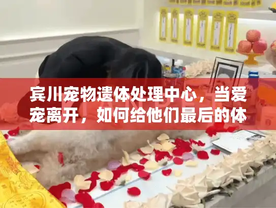 宾川宠物遗体处理中心，当爱宠离开，如何给他们最后的体面告别？