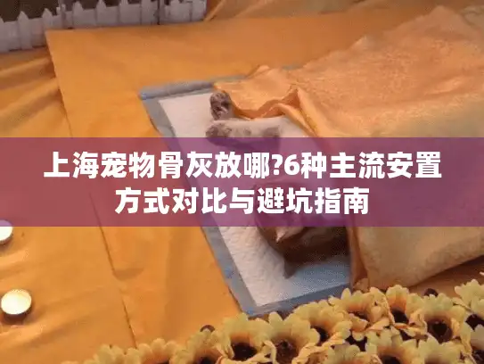 上海宠物骨灰放哪?6种主流安置方式对比与避坑指南