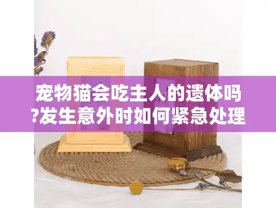 宠物猫会吃主人的遗体吗?发生意外时如何紧急处理?