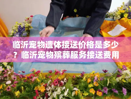 临沂宠物遗体接送价格是多少？临沂宠物殡葬服务接送费用详解