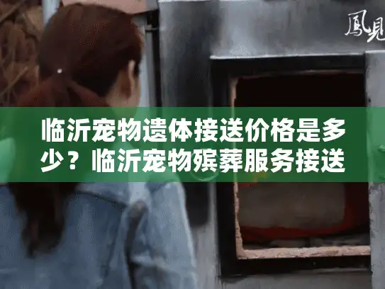 临沂宠物遗体接送价格是多少？临沂宠物殡葬服务接送费用详解