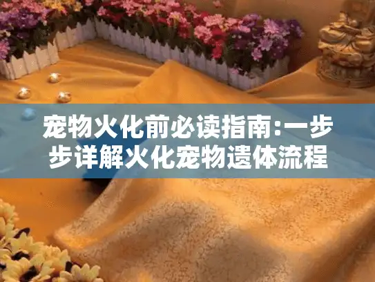 宠物火化前必读指南:一步步详解火化宠物遗体流程