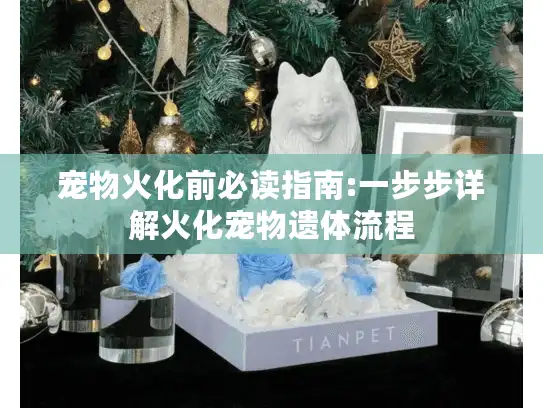 宠物火化前必读指南:一步步详解火化宠物遗体流程