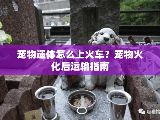 宠物遗体怎么上火车？宠物火化后运输指南