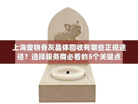 上海宠物骨灰晶体回收有哪些正规途径？选择服务商必看的5个关键点