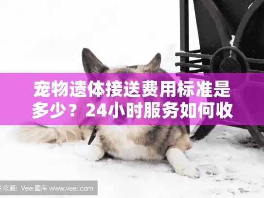 宠物遗体接送费用标准是多少？24小时服务如何收费？