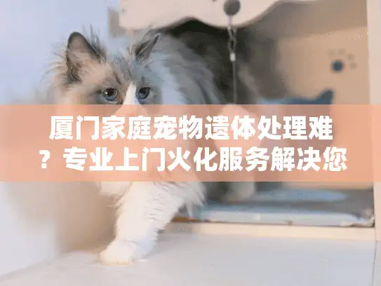 厦门家庭宠物遗体处理难？专业上门火化服务解决您的困境