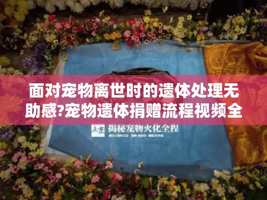 面对宠物离世时的遗体处理无助感?宠物遗体捐赠流程视频全方位教程