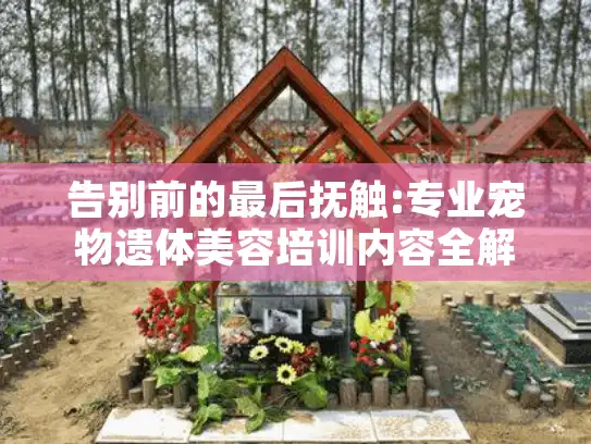 告别前的最后抚触:专业宠物遗体美容培训内容全解析
