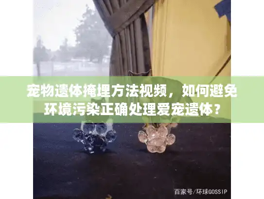 宠物遗体掩埋方法视频，如何避免环境污染正确处理爱宠遗体？
