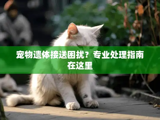 宠物遗体接送困扰？专业处理指南在这里