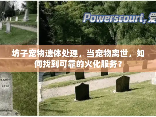 坊子宠物遗体处理，当宠物离世，如何找到可靠的火化服务？