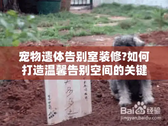 宠物遗体告别室装修?如何打造温馨告别空间的关键要点