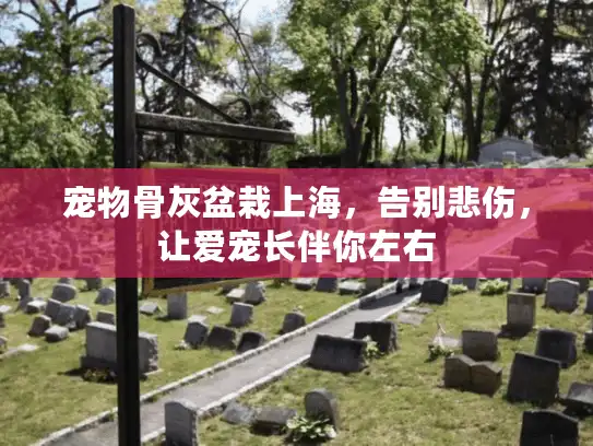 宠物骨灰盆栽上海，告别悲伤，让爱宠长伴你左右