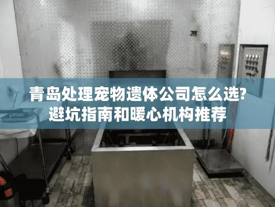 青岛处理宠物遗体公司怎么选?避坑指南和暖心机构推荐