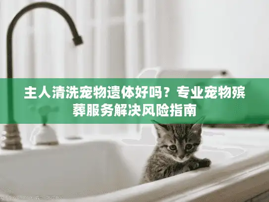 主人清洗宠物遗体好吗？专业宠物殡葬服务解决风险指南