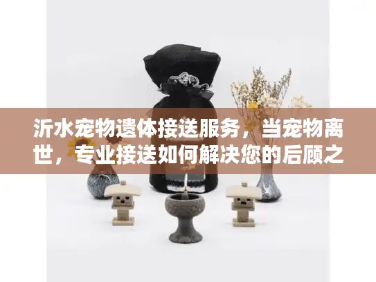 沂水宠物遗体接送服务，当宠物离世，专业接送如何解决您的后顾之忧？