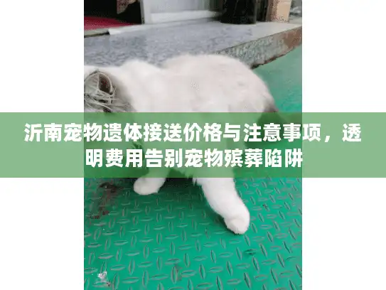 沂南宠物遗体接送价格与注意事项，透明费用告别宠物殡葬陷阱