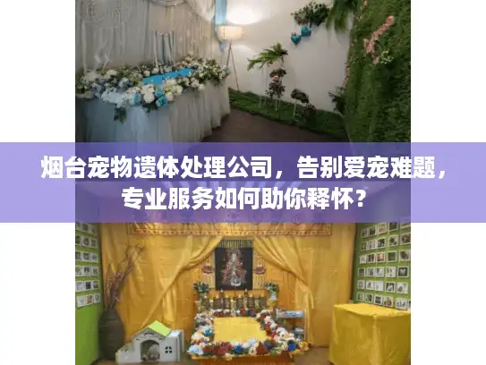 烟台宠物遗体处理公司，告别爱宠难题，专业服务如何助你释怀？