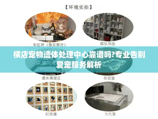 横店宠物遗体处理中心靠谱吗?专业告别爱宠服务解析