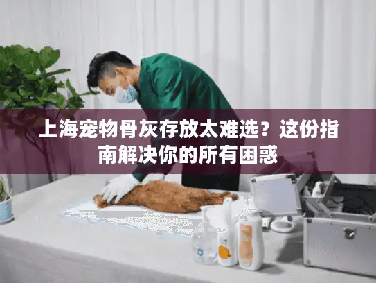 上海宠物骨灰存放太难选？这份指南解决你的所有困惑
