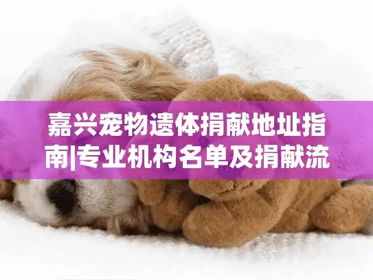 嘉兴宠物遗体捐献地址指南|专业机构名单及捐献流程