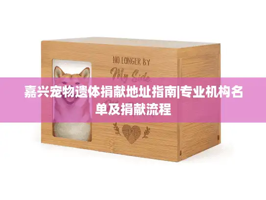 嘉兴宠物遗体捐献地址指南|专业机构名单及捐献流程