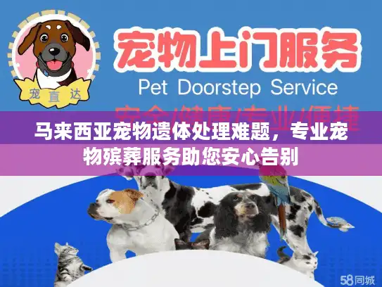 马来西亚宠物遗体处理难题，专业宠物殡葬服务助您安心告别