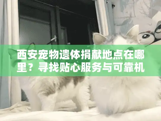 西安宠物遗体捐献地点在哪里？寻找贴心服务与可靠机构指南