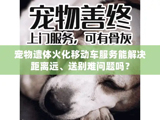 宠物遗体火化移动车服务能解决距离远、送别难问题吗？
