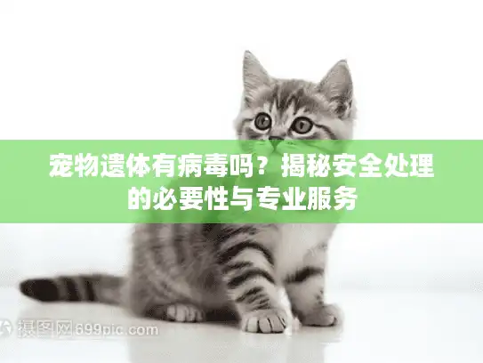 宠物遗体有病毒吗？揭秘安全处理的必要性与专业服务