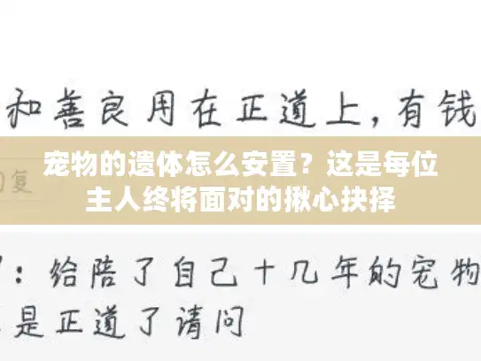 宠物的遗体怎么安置？这是每位主人终将面对的揪心抉择