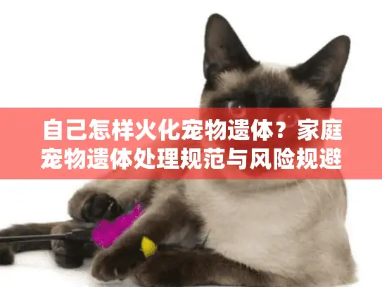 自己怎样火化宠物遗体？家庭宠物遗体处理规范与风险规避