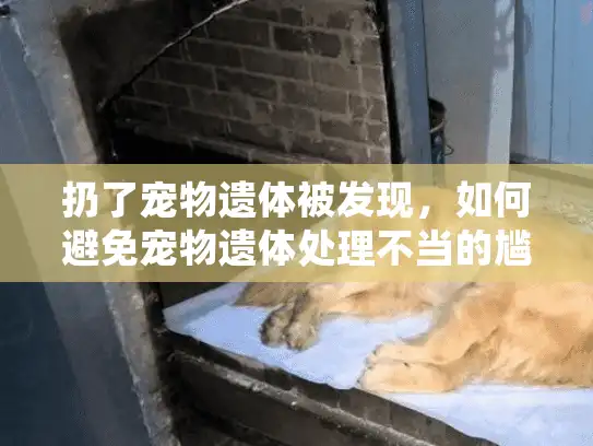 扔了宠物遗体被发现，如何避免宠物遗体处理不当的尴尬局面？
