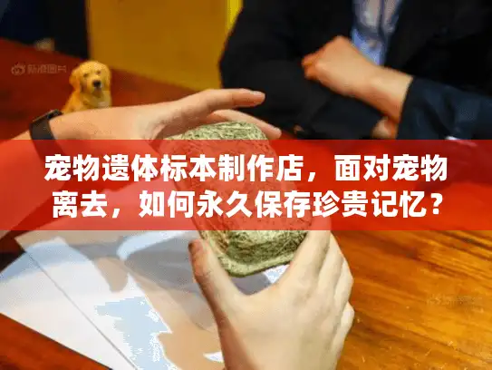 宠物遗体标本制作店，面对宠物离去，如何永久保存珍贵记忆？