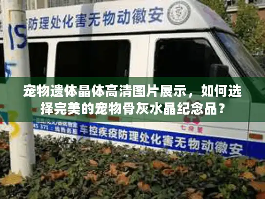 宠物遗体晶体高清图片展示，如何选择完美的宠物骨灰水晶纪念品？