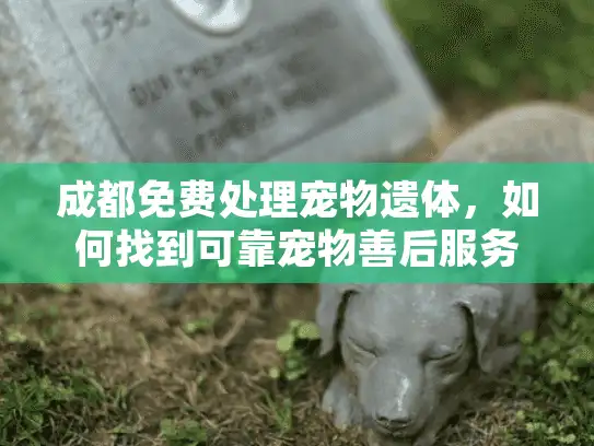成都免费处理宠物遗体，如何找到可靠宠物善后服务？