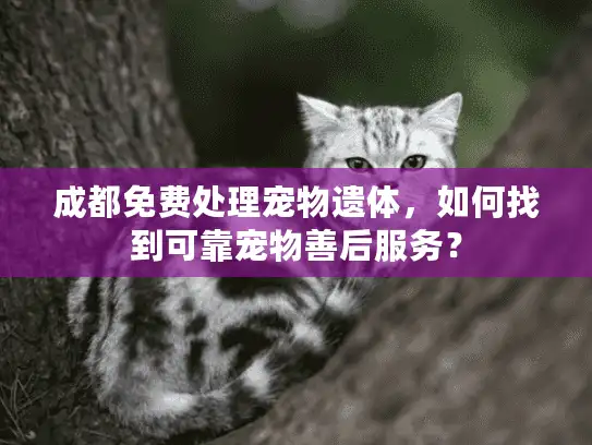 成都免费处理宠物遗体，如何找到可靠宠物善后服务？