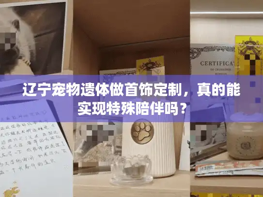 辽宁宠物遗体做首饰定制，真的能实现特殊陪伴吗？