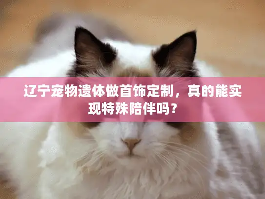 辽宁宠物遗体做首饰定制，真的能实现特殊陪伴吗？
