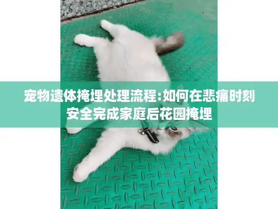 宠物遗体掩埋处理流程:如何在悲痛时刻安全完成家庭后花园掩埋