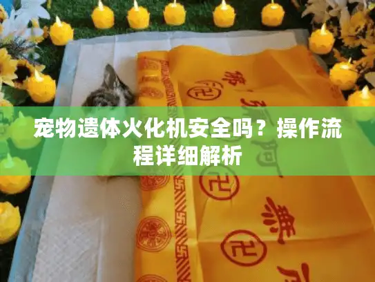 宠物遗体火化机安全吗？操作流程详细解析