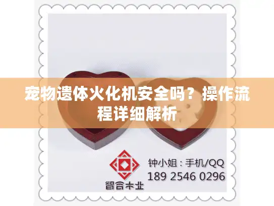 宠物遗体火化机安全吗？操作流程详细解析