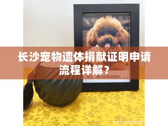 长沙宠物遗体捐献证明申请流程详解？